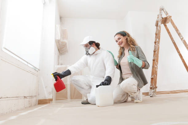 Mold Remediation for Vacation Homes in Nicholson, MS